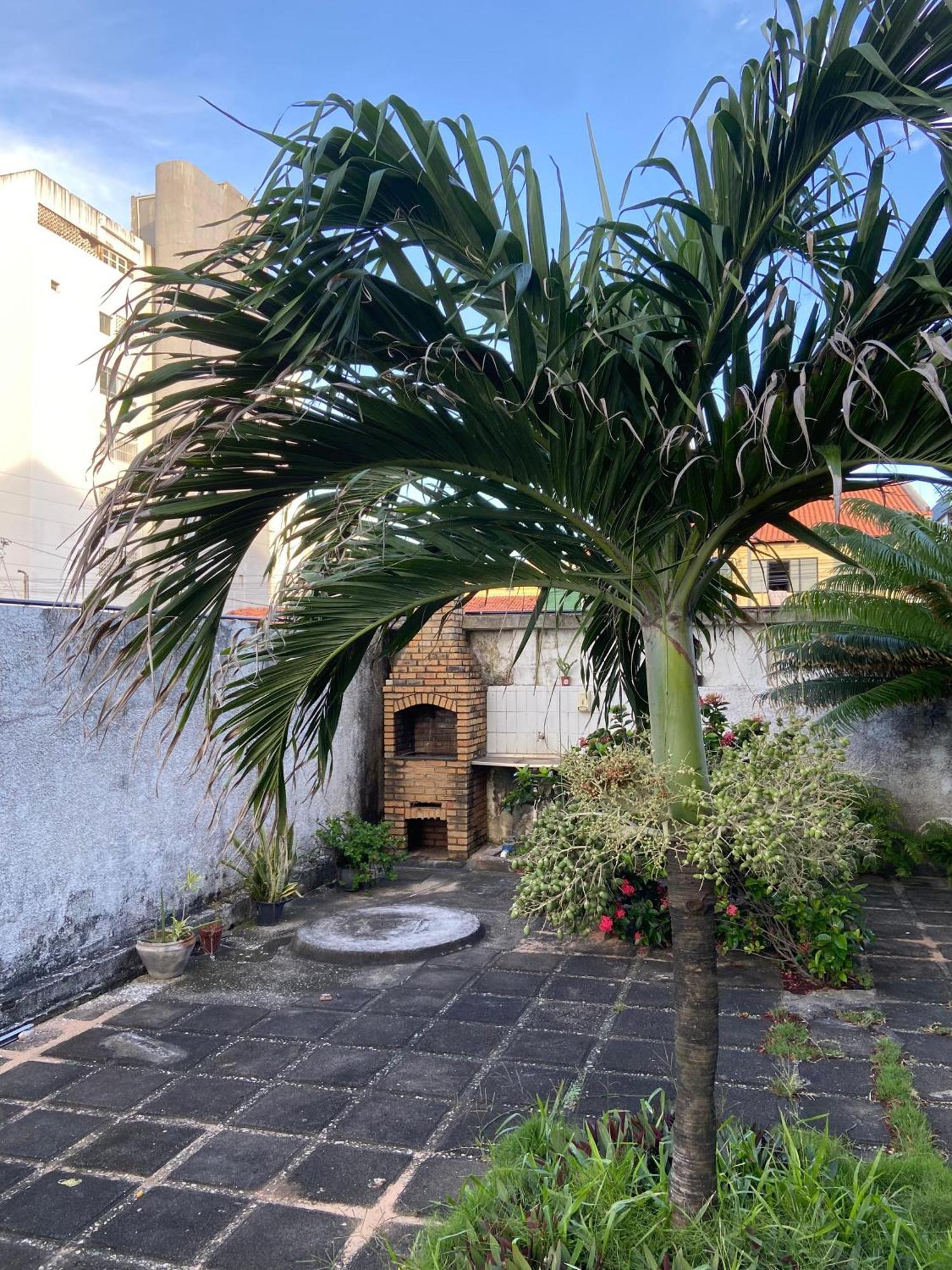 Apto Exclusivo, 200M Da Praia, Horario Flexivel 24 Horas Fortaleza  Esterno foto
